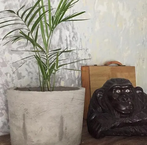 Guest house Kubu Monkey 2*