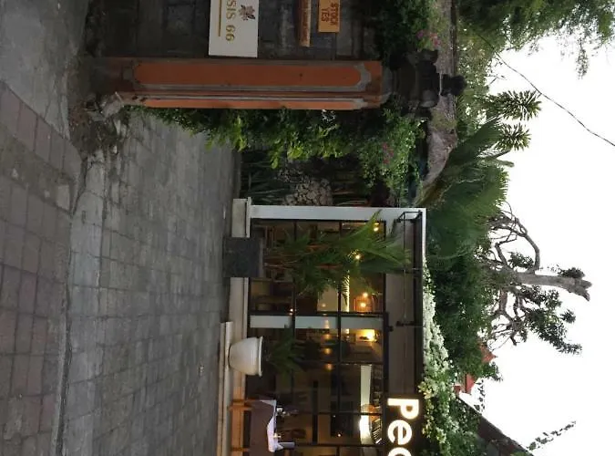 Kubu Monkey Guest house Seminyak (Bali)